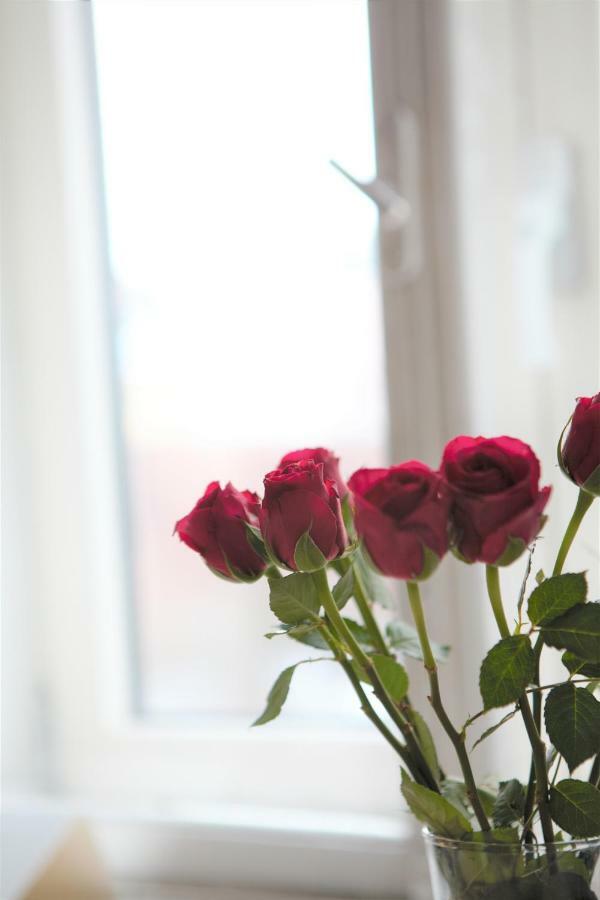 Stay Here Apartment Liisa Helsinki Ngoại thất bức ảnh